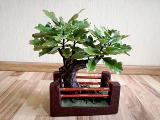 Vip cadou pentru barbati:iubit,tata,sef...Bonsai stejar din argila polimerica.. foto 2