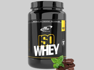 Протеин Изолят Whey Gold, 900 г, Шоколад и мята