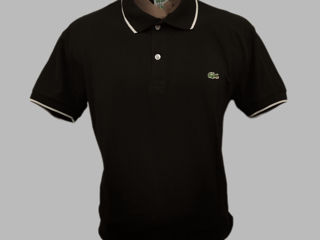 Lacoste foto 4