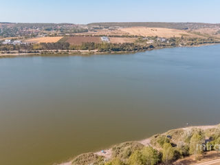 Se vinde teren Agricol în Danceni! foto 3