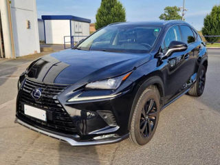 Lexus NX Series