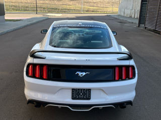 Ford Mustang foto 6