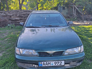 Nissan Almera фото 2