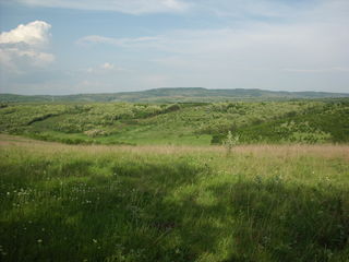 Vand 37 ha, teren agricol in raionul Ungheni... foto 4