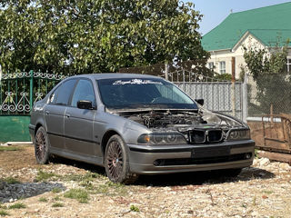 BMW 5 Series foto 2