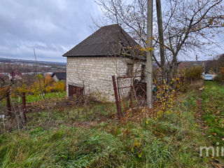 IP Ivancea, Orhei, Chișinău foto 11