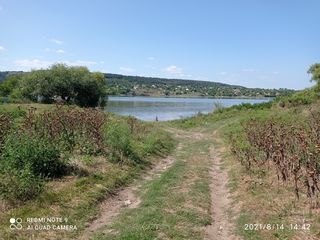 Продам дом -дачу село Гармацкое.Первая линия от Днестра. foto 1