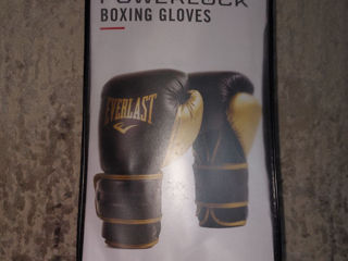 Everlast 16oz