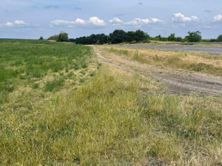 Teren agricol langa Chisinau foto 6