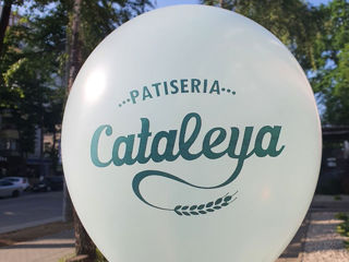 Deschidere Magazine. Baloane pentru Deschidere. Baloane cu Logo foto 8