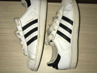 Adidas SuperStar foto 6