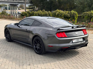 Ford Mustang foto 7