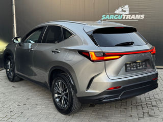 Lexus NX Series foto 6