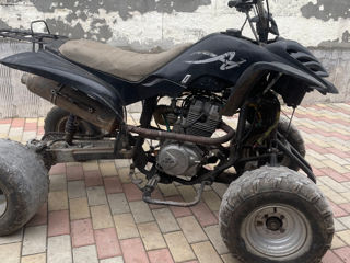 Yamaha Vînd atv bashan foto 2