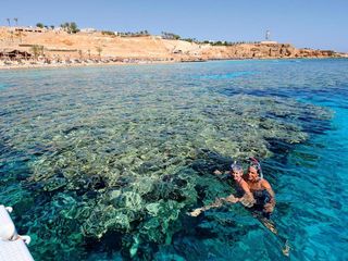 Reef Oasis Beach Resort 5* Sharm El Sheikh. В бухте без ветра и пыли! foto 10