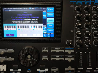 Merish'3 M-Live Цифровой микшер, рекордер (MIDI, MP3), аранжировщик и... foto 4