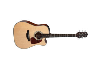 Takamine GD10CE-NS