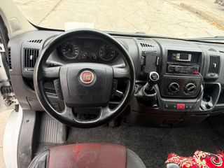 Fiat Ducato frigorific foto 5