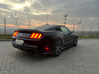 Ford Mustang foto 6