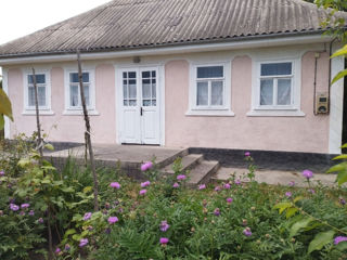 Сдается посуточно два дома в живописном селе Наславча Окницкого района