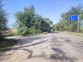 Lot de teren agricol 98ari! Băcioi, str. Băcioii Noi! foto 4