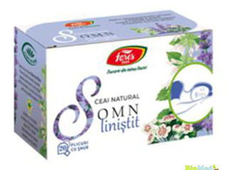 Ceai Matcha pulbere ecologica Чай Матча порошок foto 8