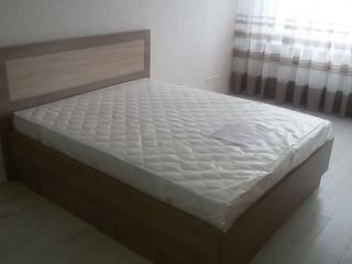 Chirie! Apartament confortabil! Botanica, str. Independenței, 1 odaie, 47 m2, Euroreparație! foto 1