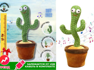 Танцующий Кактус игрушка повторюшка/ jucarie Cactus vorbitor danseaza, canta foto 3