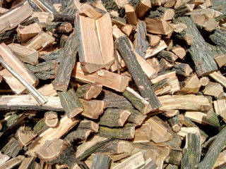 Колотые дрова с доставкой !!!Lemne tare de foc. Дрова Орех+Фруктовые foto 1