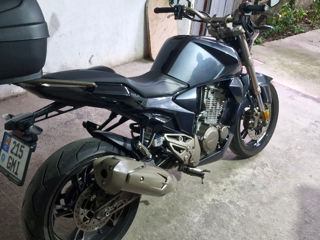 Geon Stinger 250 фото 6