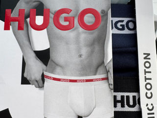 Boxer  HUGO