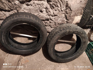 Hankook foto 7