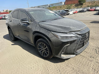 Lexus NX Series foto 2