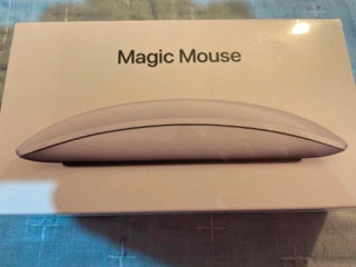 Magic mouse, alb