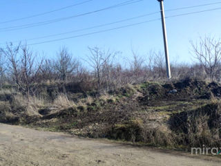 Se teren destinat pentru construcție, Dumbrava! foto 2