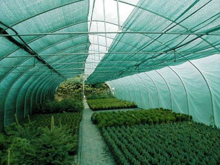 Plasa De Umbrire Grad:40%, 30Gr, H:3M (Verde)/100 - x3 - livrare / credit / agroteh фото 1