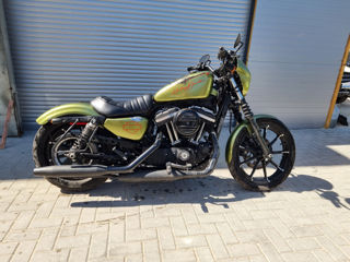 Harley - Davidson Sportster Iron 883 foto 5