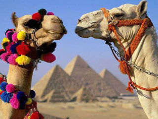 Египет !!! foto 3