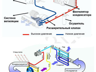 «APS Service»   предлагает  для автомобилей. Бесплатную ионизацию  системы кондиционирования. foto 10