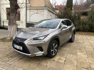 Lexus NX Series