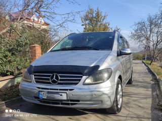 Mercedes Viano foto 2