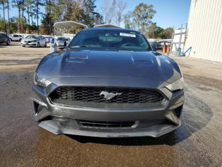 Ford Mustang foto 5