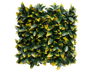 Perete decorativ GREENERY 50*50cm (17216Y) foto 1