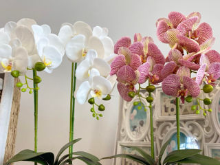 Flori artificiale - orhideie- decor frumos