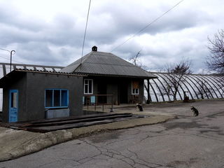 Продаются производственные склады в 25 км от Кишинёва foto 5