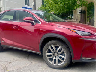 Lexus NX Series foto 4