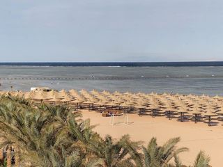 Jaz Mirabel beach 5*. Sharm El Sheikh.Отличный  отель по супер цене!!! foto 6