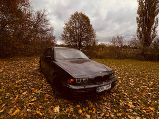 BMW 5 Series foto 5