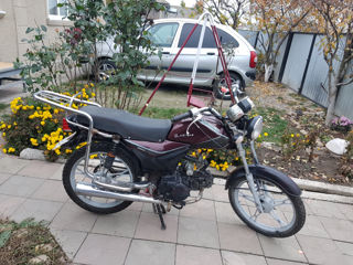 Alpha Moto zs50f foto 2