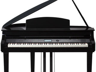 Digital Grand Piano Thomann DP-275 GP BP. Livrare gratuita în toată Moldova, plata la primire.
